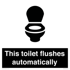 This toilet flushes automatically